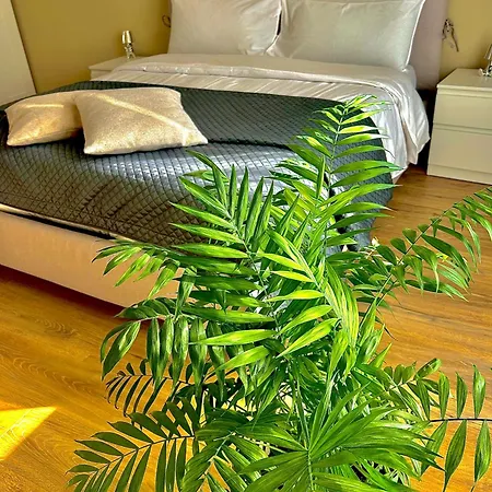 Casa Del Sole Apartment *